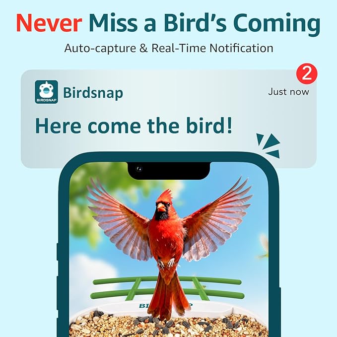 birdsnap® TUC Bird Feeder with Camera 2K HD, Solar Panel 32GB Card 4-in-1 Perch, 160°View Auto Detect & Notify AI Identify Video Bird Camera Wireless Outdoors Ideal Gift for Birds Lover