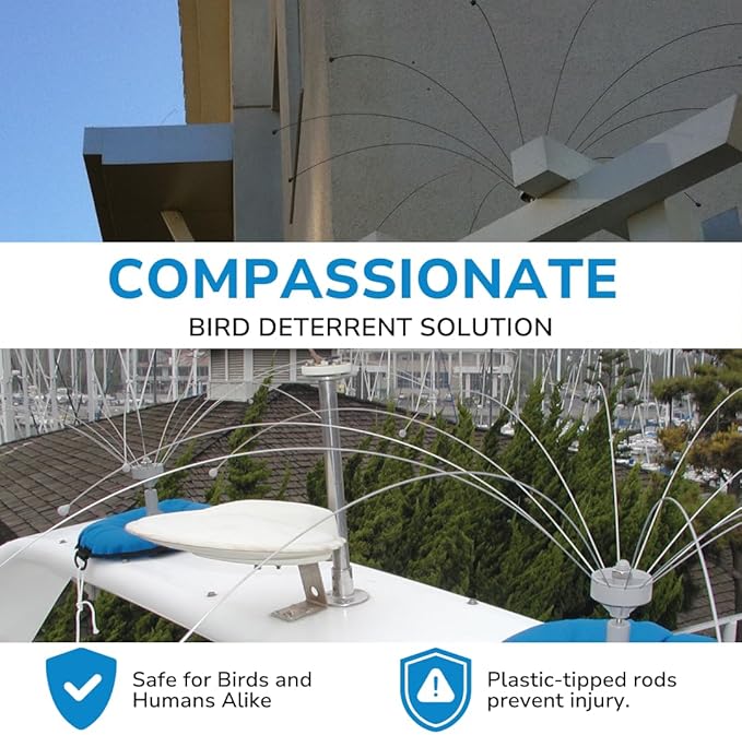 Bird Barrier Daddi Long Legs -2 Ft | Scare Birds Away with Innovative Bird Spider Design | Easy Installation on Roofs, Boats & HVAC Units | Durable Stainless | Made in USA