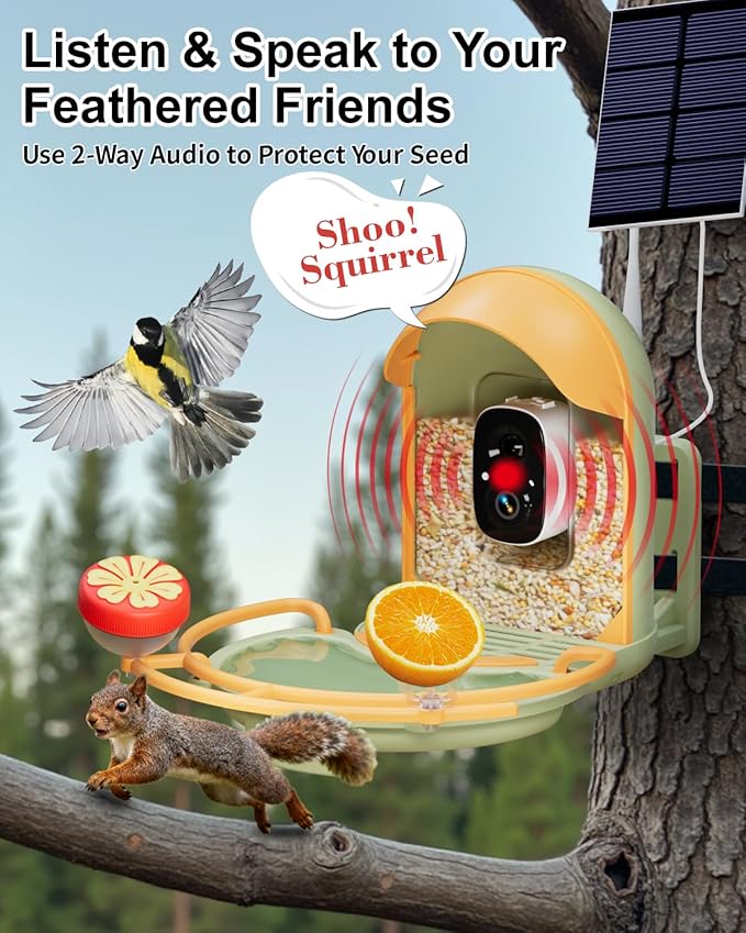 Bird Feeder with Camera, Smart Birdfeeder with Cam Solar Powered, 2K HD Video, AI Identification, Instant Arrival Alerts, IP66 Bird Bath & Feeder,Gift for BirdLover (with BirdBath, Green)