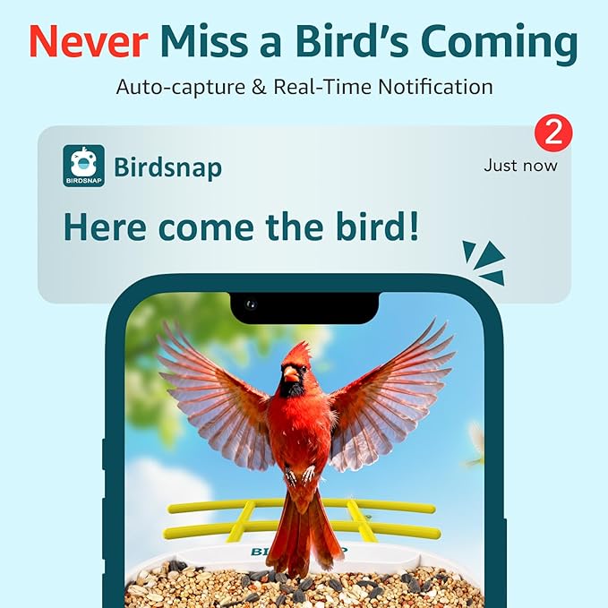 birdsnap® TUC Bird Feeder with Camera 2K HD, Solar Panel 32GB Card 4-in-1 Perch, 160°View Auto Detect & Notify AI Identify Video Bird Camera Wireless Outdoors Ideal Gift for Birds Lover