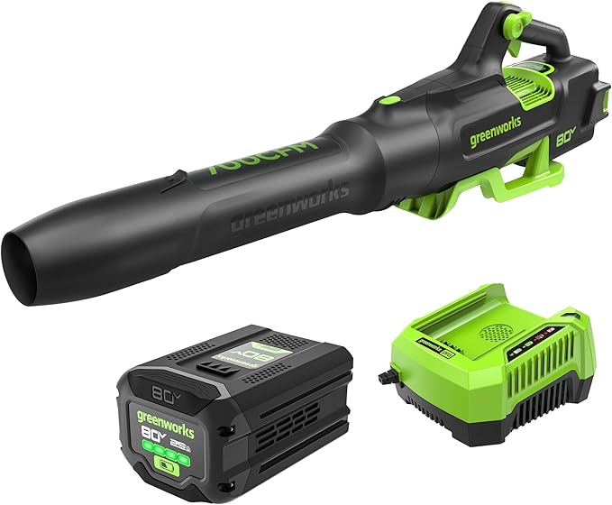 Greenworks 80V (700 CFM / 170 MPH) Brushless Cordless Leaf Blower, Commercial-Grade Power, 45-Min Rapid Charger for Wet Leaves, Heavy Debris, Gravel and Driveway Snow, Includes 2.5Ah Battery & Charger