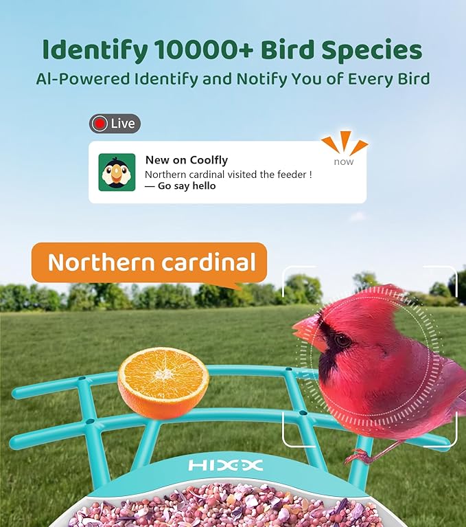 HIXX Smart Bird Feeder with Camera, AI Identify Birds & Auto Capture, 2K HD Live Camera Birdwatching with Color Night Vision for Bird Lovers Gifts (Blue)