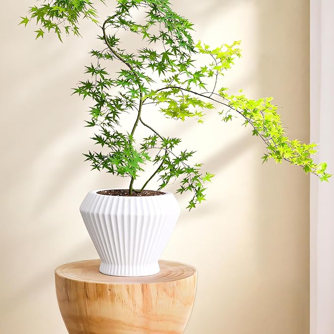 OXART 7.7 Inch Plant Pot, Modern Ceramic Pots for Indoor Plants, Plant Pots for Outdoor Flower Pot with Drainage Hole, Home Garden Decor Planters, White