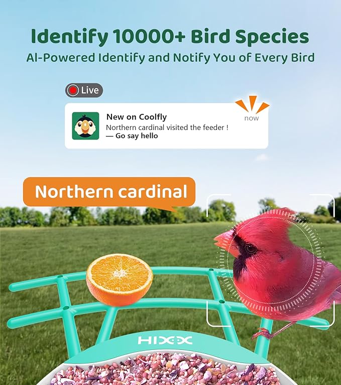 HIXX Smart Bird Feeder with Camera, AI Identify Birds & Auto Capture, 2K HD Live Camera Birdwatching with Color Night Vision for Bird Lovers Gifts (Pea Green)