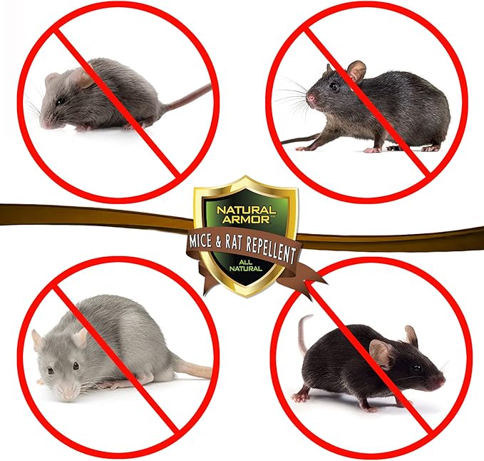 Mice & Rat Repellent. Peppermint Repellent for Mice/Mouse, Rats & Rodents. Natural Spray for Indoor & Outdoor Use. 128 OZ Gallon Refill Ready to Use