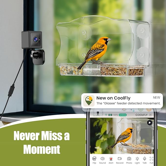 Freesason Waterproof Smart Bird Feeder Camera with AI Bird Recognition, 2K HD All-Weather Window Mount for Outdoor Viewing - The Ultimate Gift for Birds Watchers