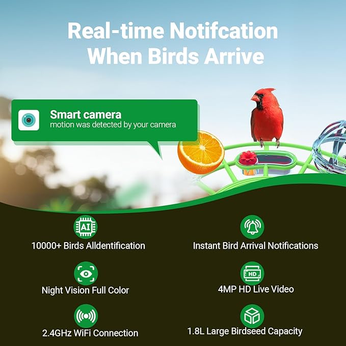 Smart Bird Feeder with Camera, Solar Powered, 2K HD & AI Identification, Color Night Vision, Weatherproof, Live View & Instant Alerts | Ideal Gift for Bird Lovers