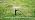 Adjustable Drip Irrigation Emitters for 1/4" Tubing, 25pcs