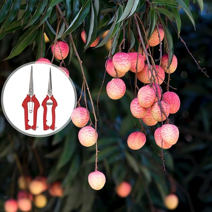 2Pcs Branch Pruning Shear Garden Scissors with Comfortable Handles for Fruit Picking and Plant Trimming and Labor-Saving Clippers for Orchards Yards and Gardens Red