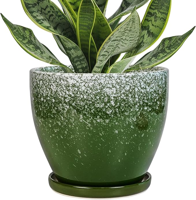 Ceraimc Plant Pot - 6.3 Inch Planter with Drainage and Plant Tray, Round Succulent Planters, Decorative Flower Pot for Indoor, Room Office Patio House Decor, Gifts for Women Men, Green