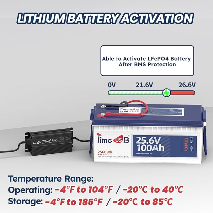 29.2V 20A LiFePO4 Battery Charger, 24V Mountable Lithium Battery Charger with LED Indicators and Multi Safety Protections for Lithium Iron Deep Cycle Rechargeable Batteries of Boat, RV (Regular)