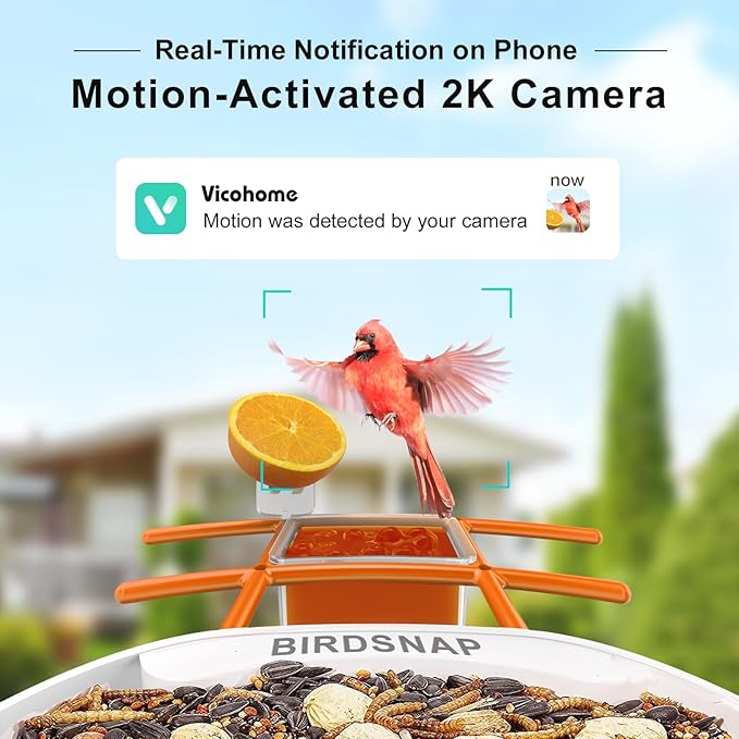 birdsnap® TUC Smart Bird Feeder with Camera 2K HD, Solar Panel 32GB Card 4-in-1 Perch, 160°View Auto Detect & Notify AI Identify Video Bird Camera Wireless Outdoors Ideal Gift for Birds Lover