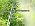 Thiswing 360° Adjustable Drip Irrigation System with 22 Nozzles