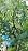 High-Flow Tree Irrigation System, 15FT 12mm Hose & 2Pcs 6.5FT Adjustable Nozzles, for Tree Roots & Canopies Irrigation, Leaf & Fruit Cleaning, Ideal for Fruit Trees & Ornamental Trees