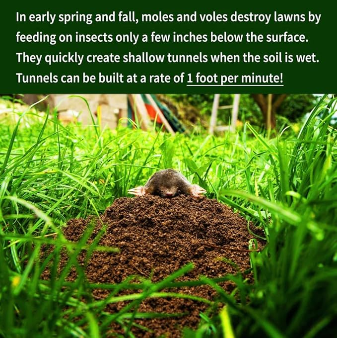 Nature's MACE Mole & Vole MACE – Yard & Garden Granules, Castor Oil Formula, Outdoor Use, Plant & Pet Safe, 160 Fl Oz (Pack of 1)