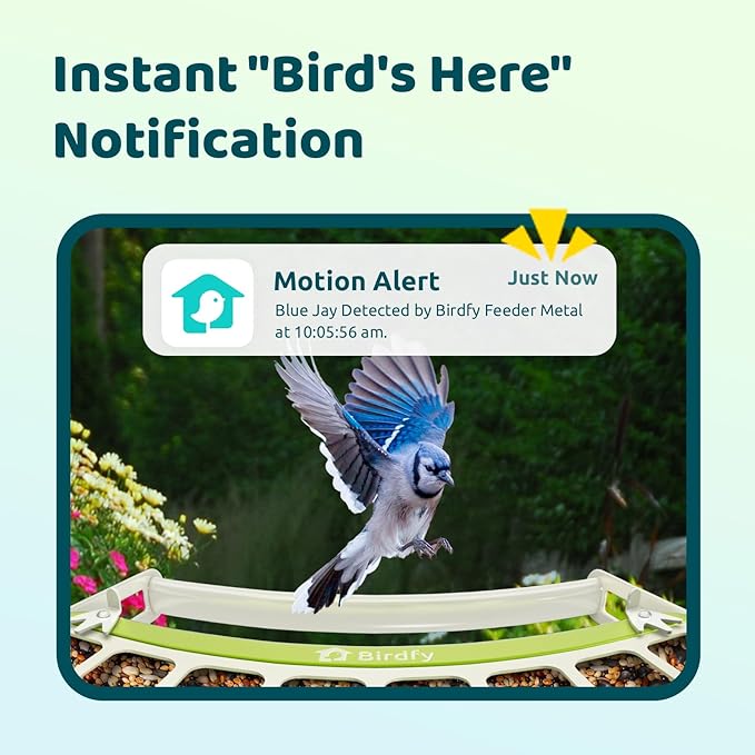 Birdfy Smart Bird Feeder with Camera, Durable Metal Bird Feeders for Outdoors, Auto-Detect & Record HD Videos, Instant Alerts & Live View, Solar Powered, Weatherproof for Backyard, Ideal Gift for Mom