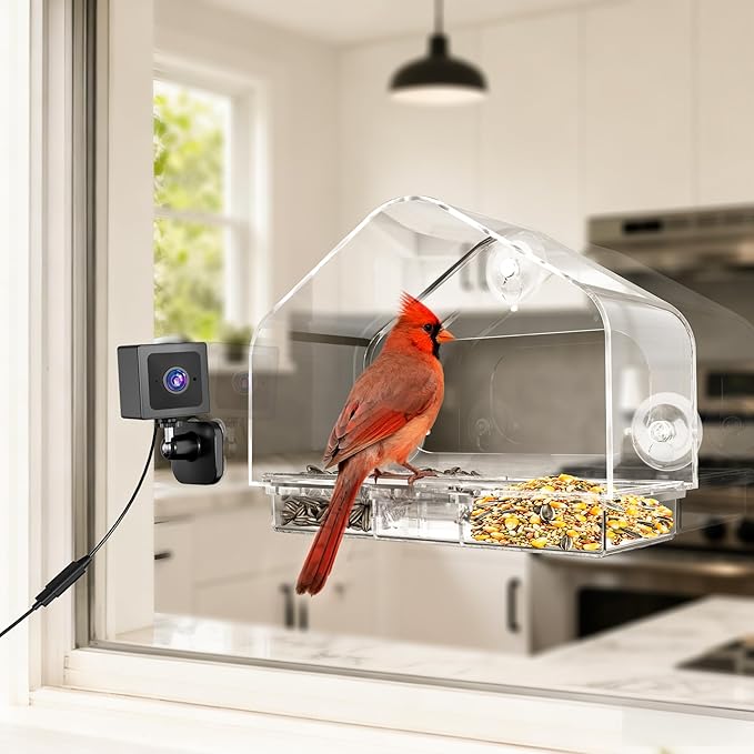 Waterproof Smart Window Bird Feeder Camera with AI, All-Weather 2K HD Live View & Secure Suction Mount - The Ultimate Outdoor Gift for Bird Watchers