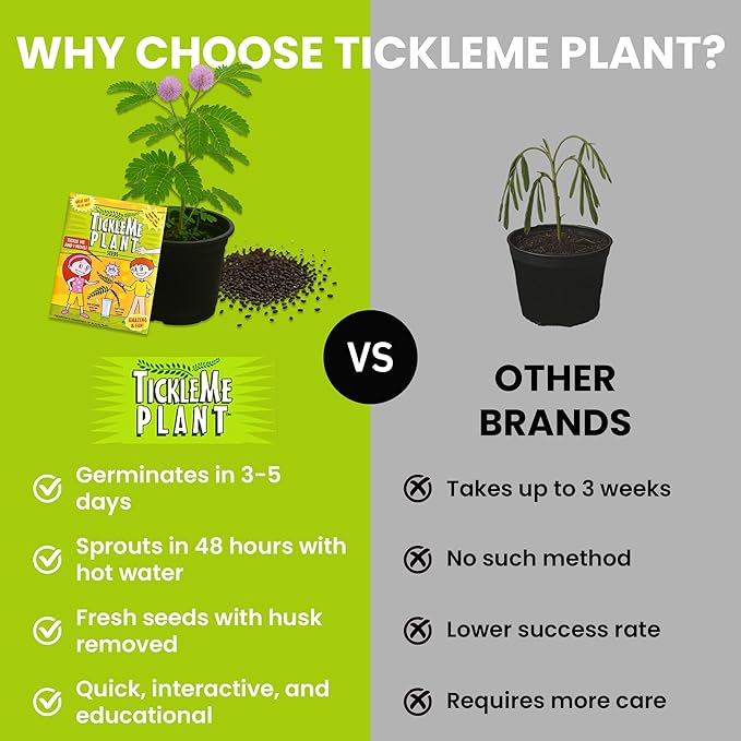 TickleMe Plant Seeds for Indoor Planting (2-Pack) – Unique Stocking Stuffer Idea | Leaves Close When Touched, Reopen in Minutes – Easy Indoor House Plant Seeds, Can Flower, Includes 10 Fun Activities