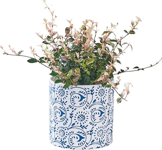 Ceramic Plant Pot for Indoor Plants, 6 Inch Boho Flower Pot with Drainage Holes, Modern Planter for Home & Office Decor(Blue)
