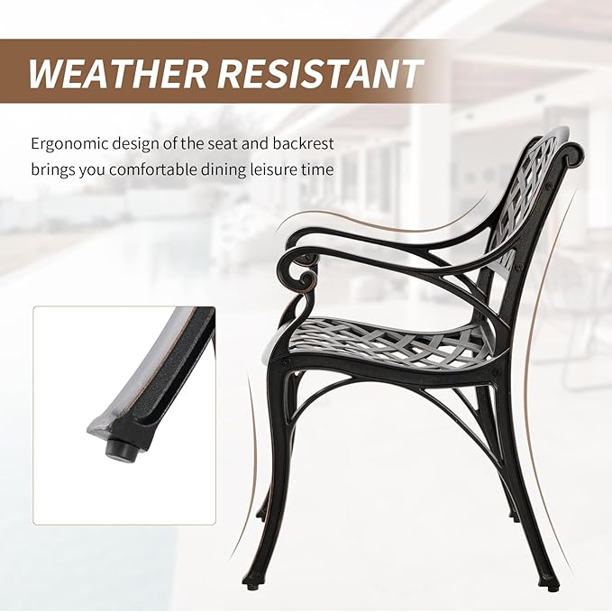 Outdoor Dining Chairs Set of 2, Cast Aluminum Patio Chairs Set with Armrest, Bistro Chairs Outdoor for Garden, Porch, Backyard