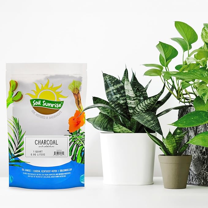 Soil Sunrise Horticultural Charcoal for Indoor Plants (1 Quart) Hardwood Soil Additive for Orchids, Terrariums, and Gardening