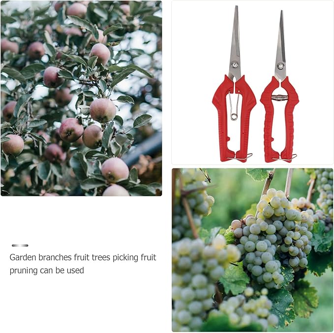 2Pcs Branch Pruning Shear Garden Scissors with Comfortable Handles for Fruit Picking and Plant Trimming and Labor-Saving Clippers for Orchards Yards and Gardens Red