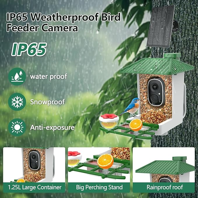 Smart Bird Feeder with Camera Solar Powered, 2K HD WiFi Live View Bird Feeders for Outdoors, AI Birds Recognition & Instant Alerts,Weatherproof Design – Best Gift for BirdLovers & Garden Birdwatching