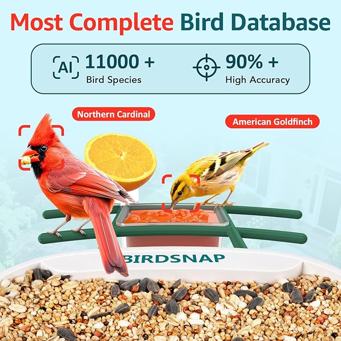 birdsnap® TUC Bird Feeder with Camera 2K HD, Solar Panel 32GB Card 4-in-1 Perch, 160°View Auto Detect & Notify AI Identify Video Bird Camera Wireless Outdoors Ideal Gift for Birds Lover
