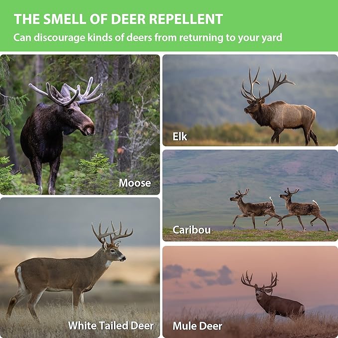Deer Repellent 10 Pack Peppermint Oil Deer Scram Deer Stopper Balls Natural Deer Off Deer Deterrent for Outdoor Garden Yard Lawn to Keep Rabbit Deer Away from Plants