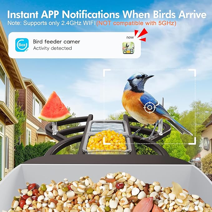 Smart Bird Feeder with Camera Solar Powered, 4K HD Live Video Bird Camera Feeder with AI Identifies,App Control,Instant Arrival Alert,Auto Capture,Motion Detection,IP65 Waterproof Bird House
