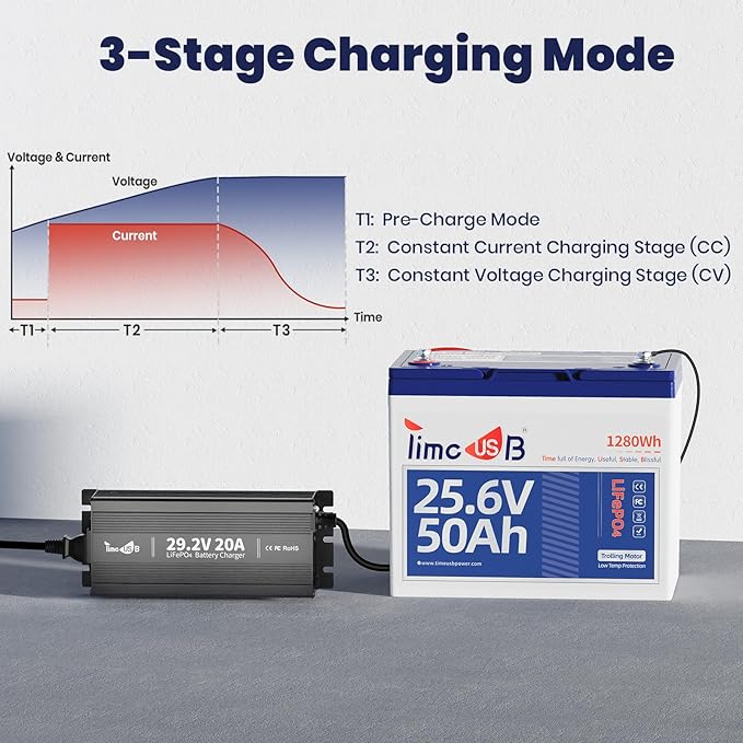 29.2V 20A LiFePO4 Battery Charger, 24V MINI Mountable Lithium Battery Charger with LED Indicators and Multi Safety Protections for Lithium Iron Deep Cycle Rechargeable Batteries of Boat, RV (Mini)