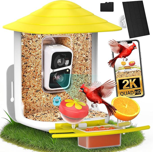 birdsnap® TUC Bird Feeder with Camera 2K HD, Solar Panel 32GB Card 4-in-1 Perch, 160°View Auto Detect & Notify AI Identify Video Bird Camera Wireless Outdoors Ideal Gift for Birds Lover