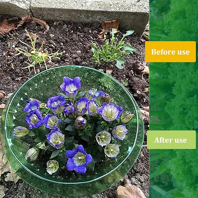 Fshow Slug & Snail Collars,30pcs Snail Garden Cloches,Snail Collar Protects Plants to Get Better.