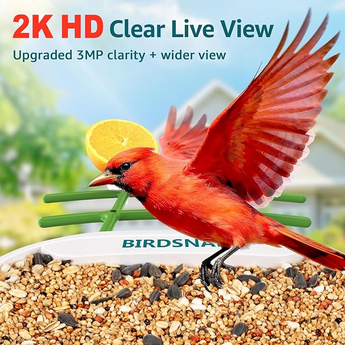 birdsnap® TUC Bird Feeder with Camera 2K HD, Solar Panel 32GB Card 4-in-1 Perch, 160°View Auto Detect & Notify AI Identify Video Bird Camera Wireless Outdoors Ideal Gift for Birds Lover