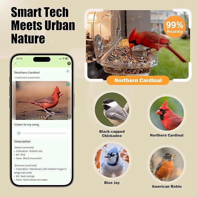 Waterproof Smart Window Bird Feeder Camera with AI, All-Weather 2K HD Live View & Secure Suction Mount - The Ultimate Outdoor Gift for Bird Watchers