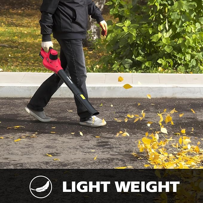 PowerSmart 20V Cordless Battery Operated Leaf Blower(120CFM/117MPH) with 2 Batteries and Charger, Portable,Lightweight & Small Blowers for Patio Cleaning,Lawn Care,Blowing Leaves and Dust (PS76101A)