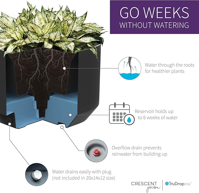 Crescent Garden Modular Self-Watering Tall Planter for Indoor & Outdoor, Modern Tall Square Planter with TruDrop Water Level Indicator for Patio, Corners, Entrance Decor- 20"x20"x38"H (Ash)