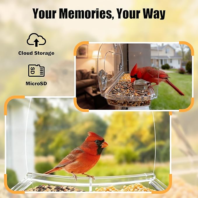 Waterproof Smart Window Bird Feeder Camera with AI, All-Weather 2K HD Live View & Secure Suction Mount - The Ultimate Outdoor Gift for Bird Watchers