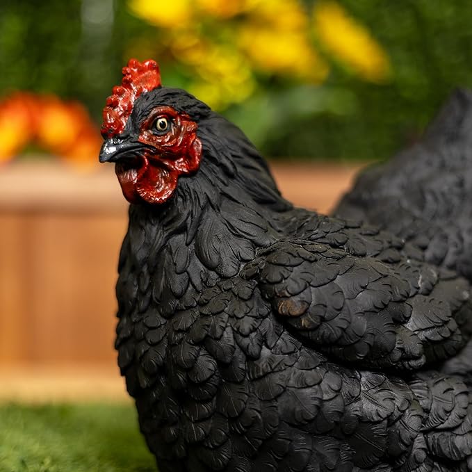 Alpine Corporation WFM100HH-BK Outdoor Rustic Resting Hen Garden Statue, 8" H, Black