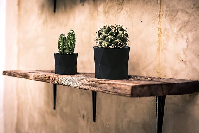Olly & Rose Designer Geometric Ceramic Black Plant Pot Succulent Pots Cactus Planters Set 2 Indoor Outdoor Small Flower Pot Set Charcoal