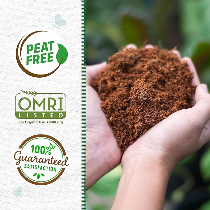 Back to the Roots Organic Seed Starting, Compressed Block expands to 12 Quarts, Made for Herbs, Veggies, Flowers