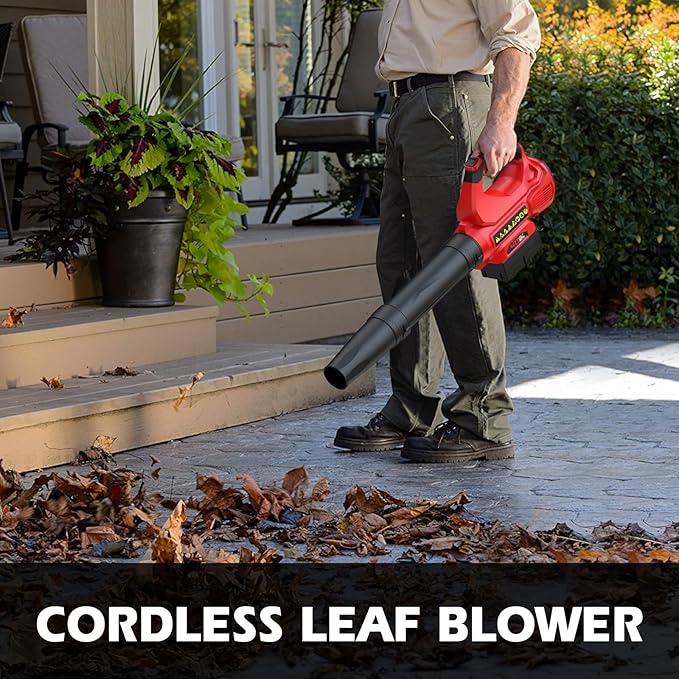 PowerSmart Cordless Leaf Snow Blower with 40V Battery and Charger, 2 Speeds, Lightweight, for Lawn Care, Yard, Sidewalk, Car