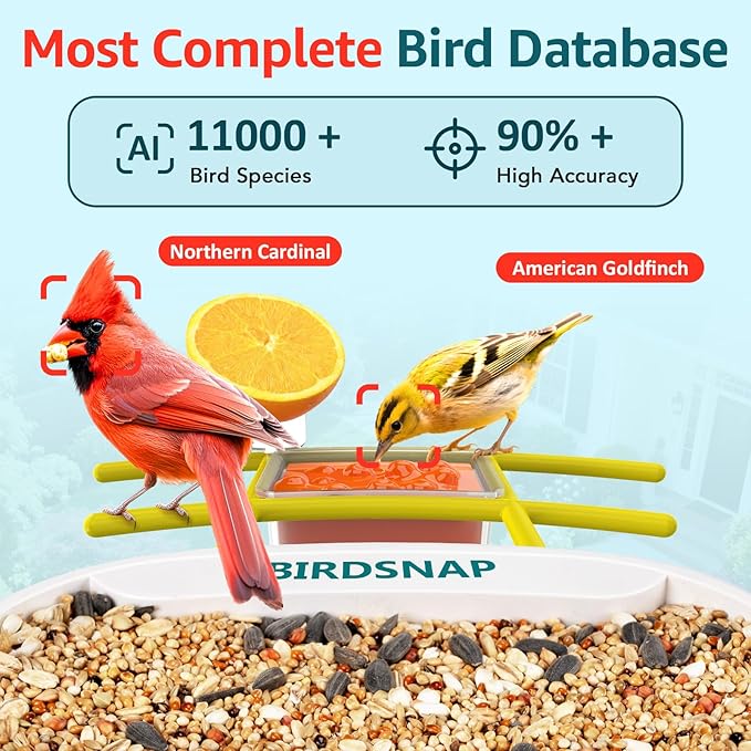 birdsnap® TUC Bird Feeder with Camera 2K HD, Solar Panel 32GB Card 4-in-1 Perch, 160°View Auto Detect & Notify AI Identify Video Bird Camera Wireless Outdoors Ideal Gift for Birds Lover