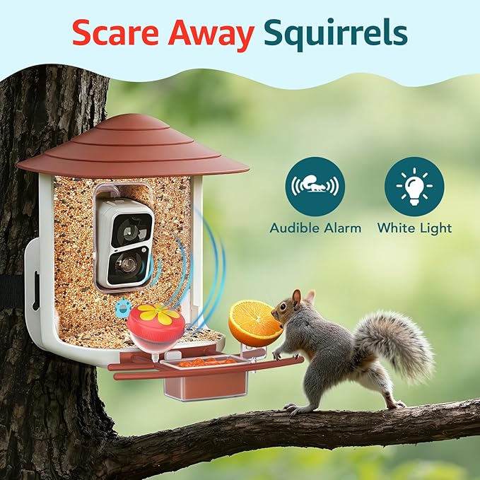 birdsnap® TUC Bird Feeder with Camera 2K HD, Solar Panel 32GB Card 4-in-1 Perch, 160°View Auto Detect & Notify AI Identify Video Bird Camera Wireless Outdoors Ideal Gift for Birds Lover
