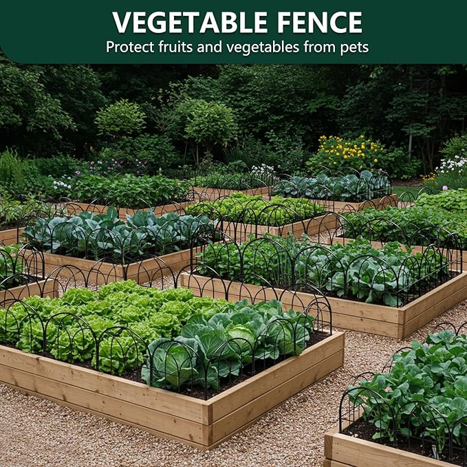 Small Garden Fence Animal Barrier, 12.55"*16.53" Decorative Fence Panel, No Dig Fences Barrier, Arch 6 Pcs Black Metal Fencing, Garden Border Edging Fences, Dog Fencing Blocker for Yard, Flower Bed