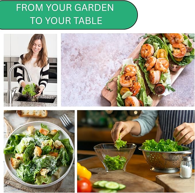Woods Creek Seeds: Summer Bibb Heirloom Lettuce Seeds for Planting - Over 2,700 Non-GMO Seed Pack for Growing Indoors, Outdoors, or as Hydroponic Seeds - Beginner-Friendly Green Leaf Lettuce Seed