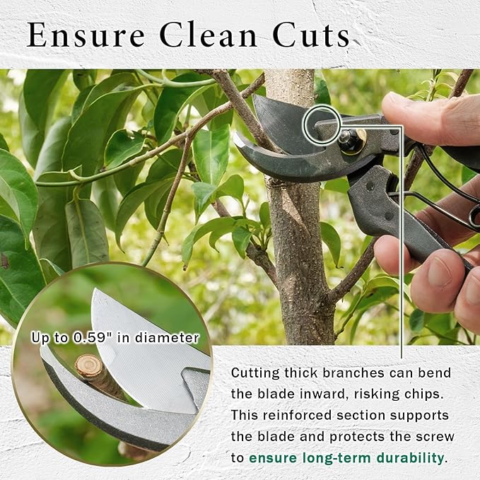 Professional Forged Bypass Pruning Shears 7.9" Japanese Hand Garden Scissors Made in Japan (Standard Model)