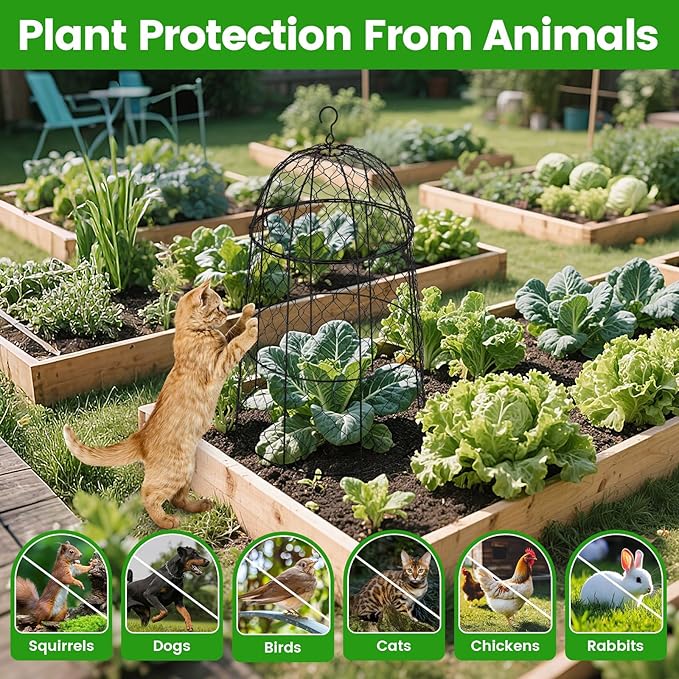 12Pcs garden cloche for plants,11.8×19.7in large size plant cages for outdoor plants,split design and anti-rust coated chicken wire cloche,sturdy and not easy to deform,plant cages to keep animals out