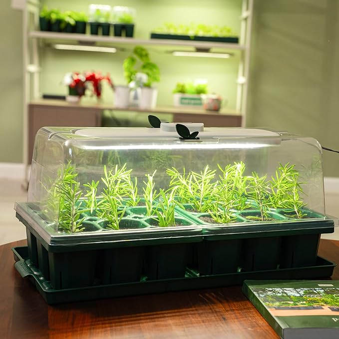 Vego garden Germination Bundle, 8Packs Jumbo Seedling Trays with Seedling Tray Lids and 10" x 20" Seedling Humidily Dome