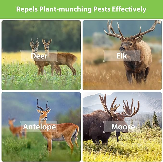 MAGIC CAT® Deer Repellent, Rabbit Repellent Outdoor Natural Peppermint Oil Deer Repellant for Plants Pet Family Safe, Deer Deterrent Balls Keep Rabbit Out of Lawn Garden Yard Shrub and Trees-10P